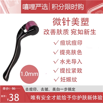 1.0mm高品质纳米钛合金微针滚轮540